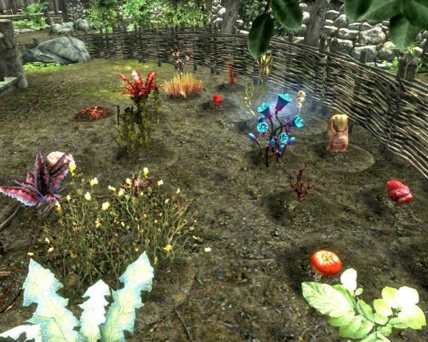 Plant Your Plants