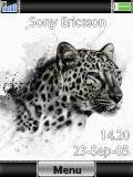 leopard mqajre9k