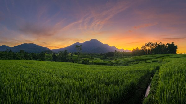file_91300626