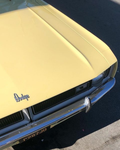 Dodge