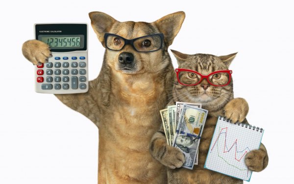 IStock-1204146544-1-scaled