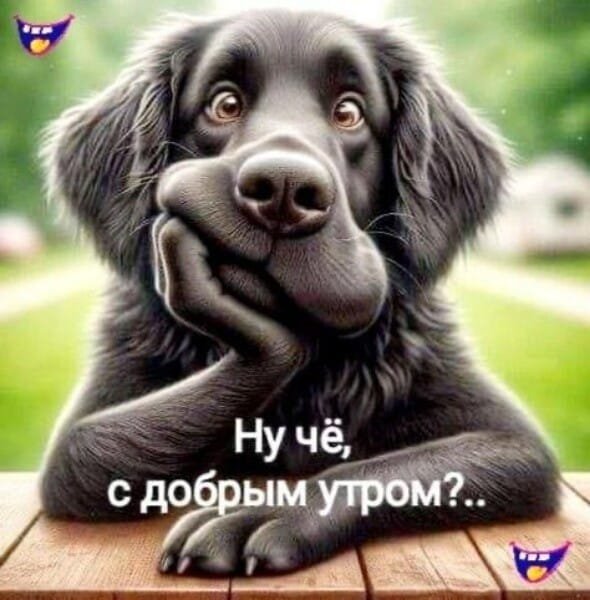 IMG-20250524-WA0006