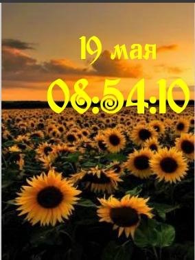 Подсолнух цифр часы дата