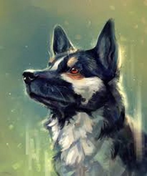 file_97750574