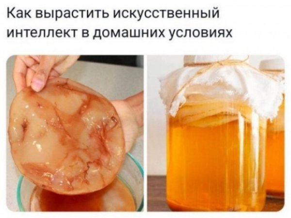 file_103349697