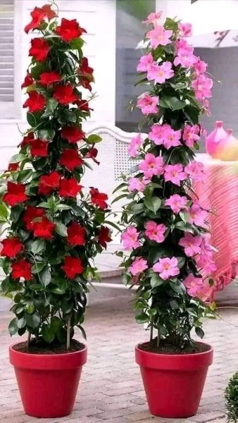 file_96323317