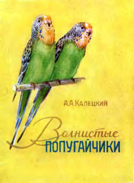Калецкий. Волнистые попугайчики