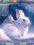 hares