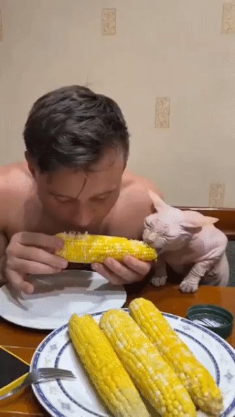 IMG 20230821 194928