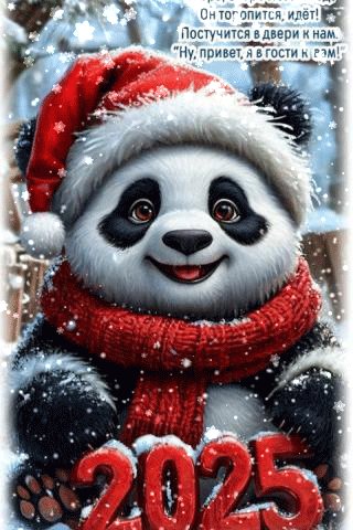 file_98492133