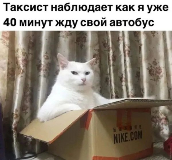 IMG 20260818 233459 010