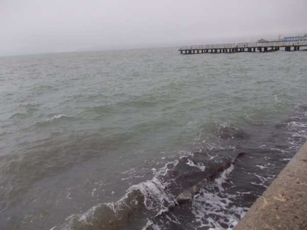 DSCN0906