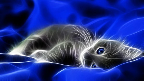blue cats digital art artwork kittens 13