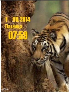 Тигр на охоте цифр часы дата ани