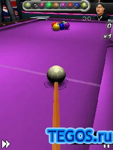 3D World Championship Pool 2010 176x220