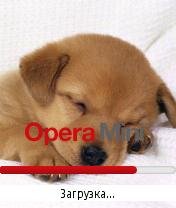 Puppy splash Opera Mini by Storm