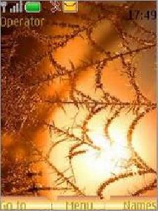 Golden Web