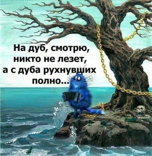 ))