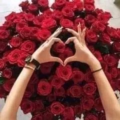 file_96281196