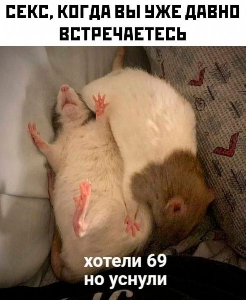 file_103425519