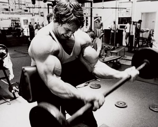 Arnold-Arms-1