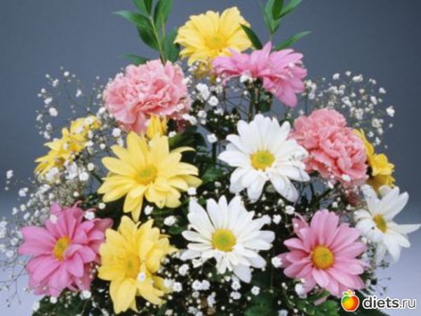 file_86523444