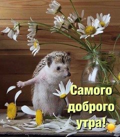 Самого доброго утра