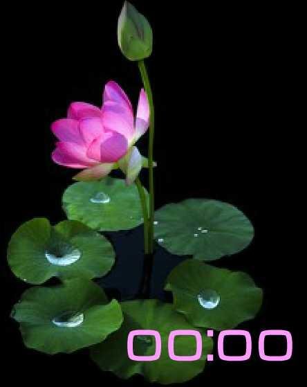 цветы х2
