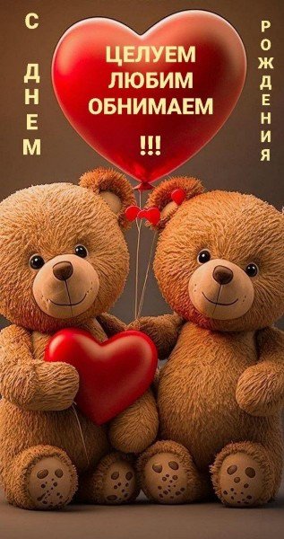 file_95216565