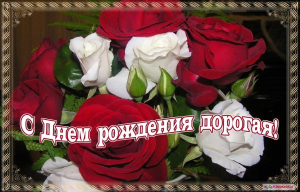 file_81291479