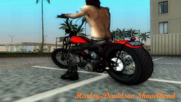 Harley-Davidson Shovelhead chopper no na