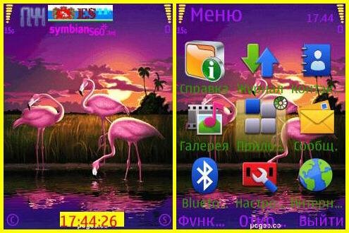 theme 804