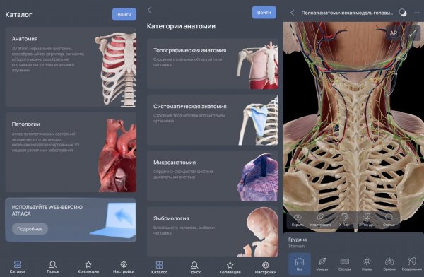 VOKA 3D Анатомия Pro v7.0