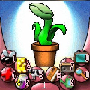Venus flytrap