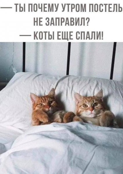 FB IMG 1755960141988