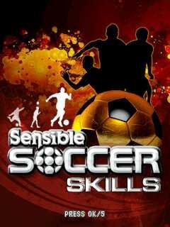 Sensible Soccer Skills SE 240x320 k800