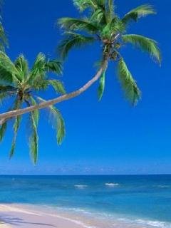 Beach Clock