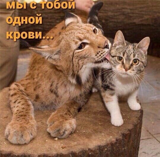 file_92051012