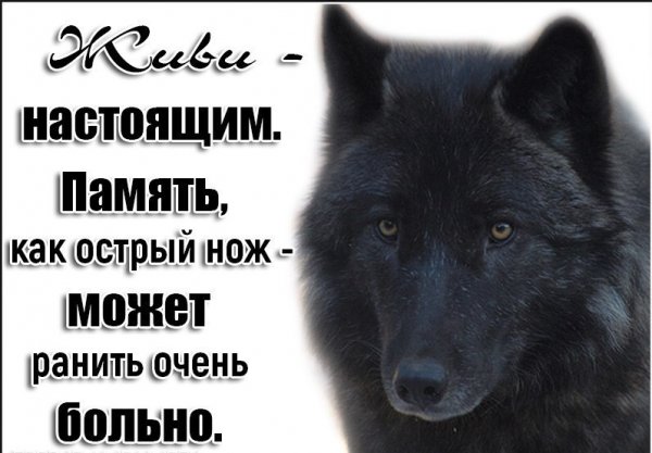 Память-1