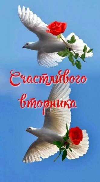 file_92757530