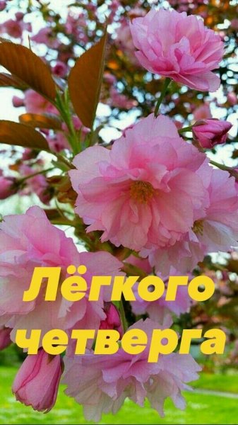 file_93483927