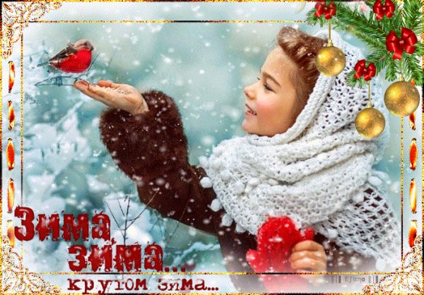 Зима зима кругом зима