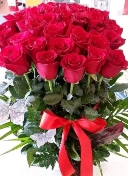 file_95695400