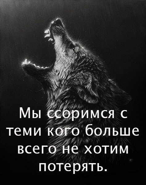 Ведь правда