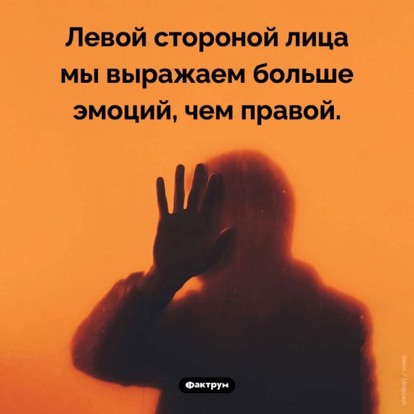 IMG-20251028-WA0003