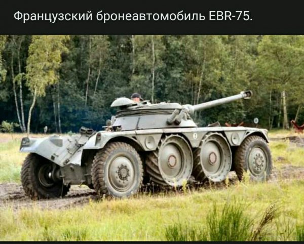 file_79595886