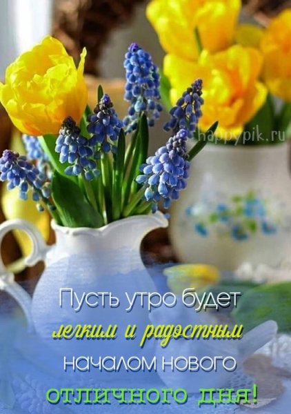 file_90506042