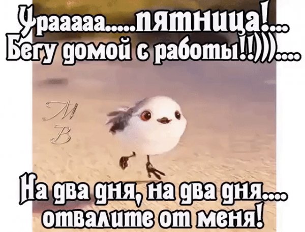 file_76415669