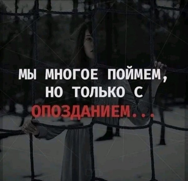 IMG 20260221 020832