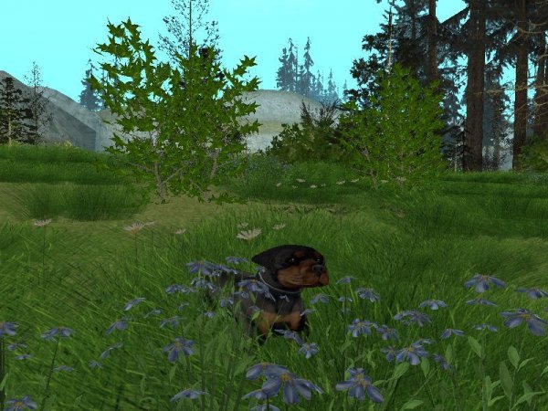 sovershennaya-realnost-gtasa